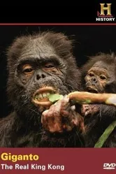 Giganto: The Real King Kong постер