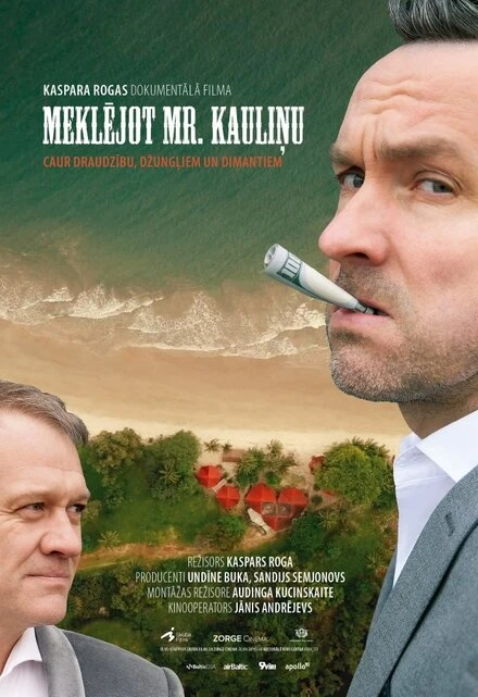 Постер В поисках мистера Каулиня 2019