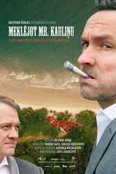 В поисках мистера Каулиня 2019 постер