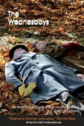 The Wednesdays постер