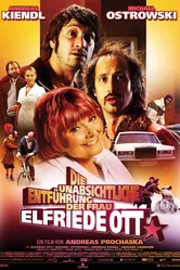 Непреднамеренное похищение Эльфриды Отт 2010 постер