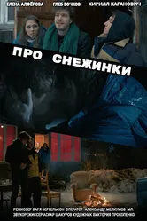 Про снежинки 2019 постер