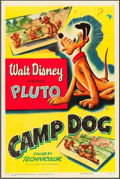 Постер Camp Dog