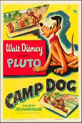 Camp Dog постер