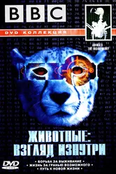 BBC: Животные: Взгляд изнутри 2002 постер