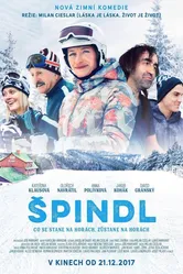 Spindl постер