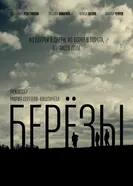 Берёзы 2025 постер
