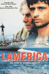 Америка 1994 постер