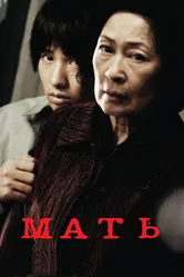 Мать 2009 постер