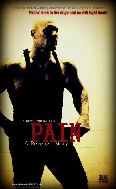 Постер Pain 2015