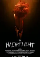 Im Nachtlicht постер
