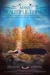 Many Beautiful Things постер