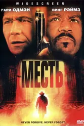 Месть 2002 постер