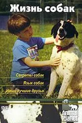 Animal Planet. Жизнь собак 2006 постер