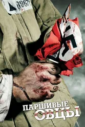Паршивые овцы 2010 постер