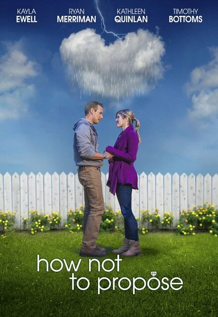 Постер How Not to Propose 2015