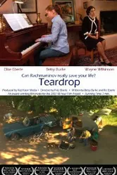 Teardrop 2007 постер