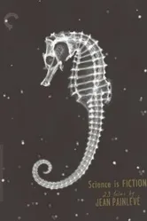 Les amours de la pieuvre постер