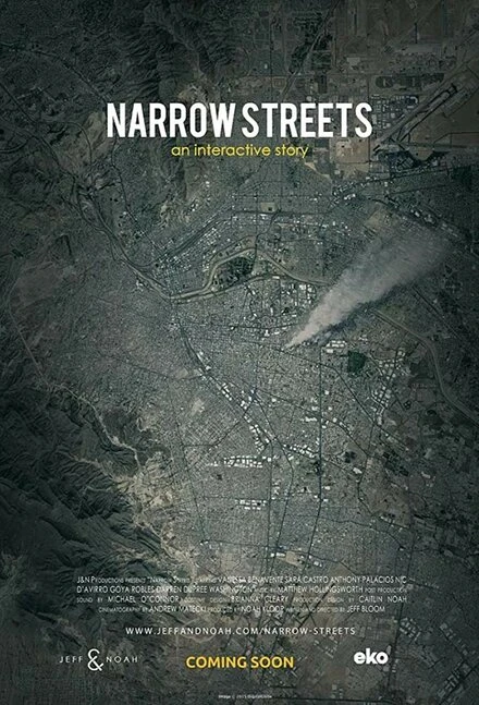 Постер Narrow Streets