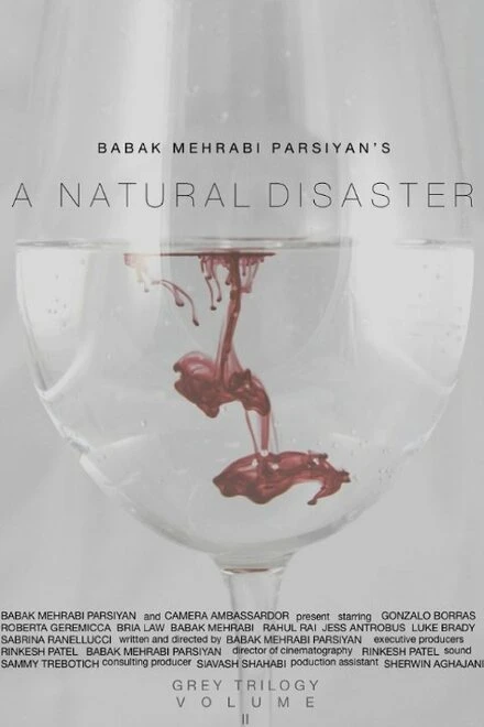 Постер A Natural Disaster