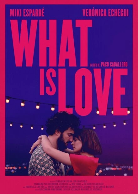 Постер What Is Love 2019
