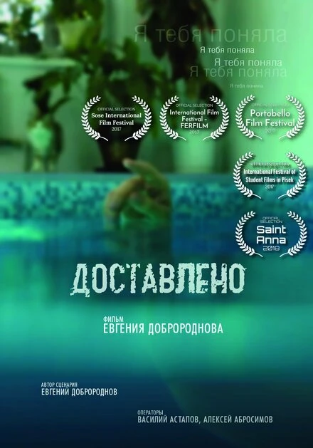 Постер Доставлено 2017
