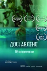 Доставлено 2017 постер