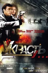 Украсть у... 2008 постер