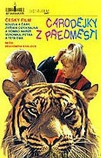 Постер Чародейки из предместья 1991