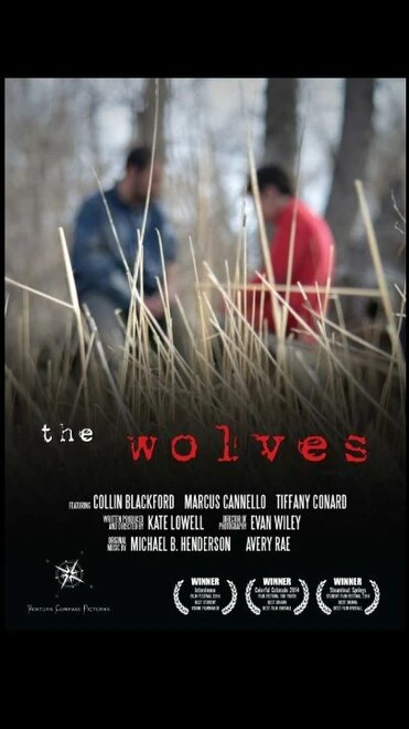 Постер The Wolves 2014, США