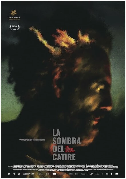 Постер La sombra del Catire