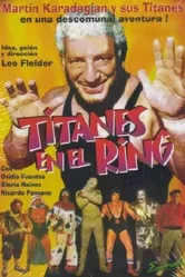 Titanes en el ring 1973 постер