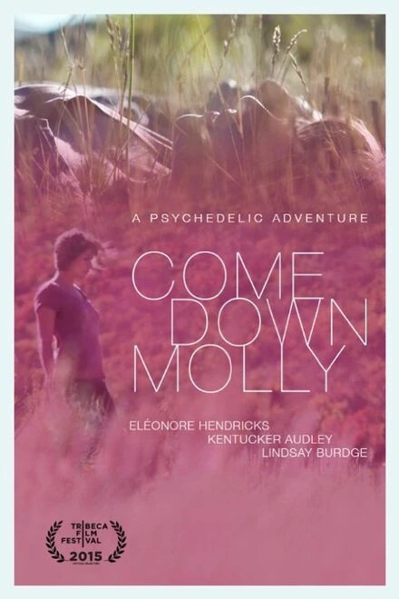 Постер Come Down Molly