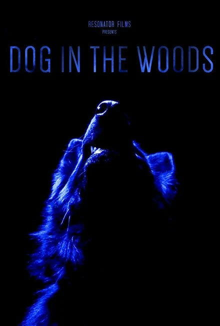 Постер Dog in the Woods