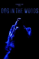 Dog in the Woods постер