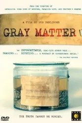 Gray Matter постер