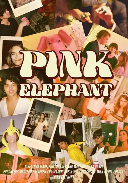 Постер Pink Elephant 2020