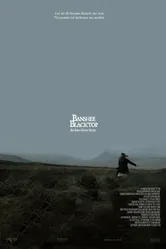 Баньши: история ирландских призраков 2016 постер