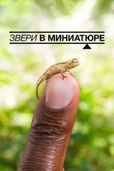 Звери в миниатюре 2017 постер