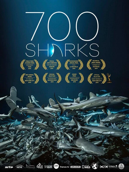 Постер 700 акул 2019