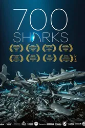 700 акул 2019 постер