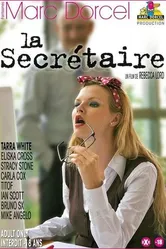 Секретарша 2010 постер
