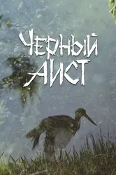Черный аист 1993 постер