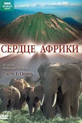 BBC: Сердце Африки 2010 постер
