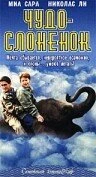 Постер Чудо — слоненок 2001