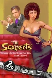 The Sexperts: Touched by Temptation постер