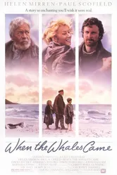 Когда прибывают киты 1989 постер