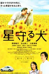 Пёс, смотрящий на звезды 2011 постер