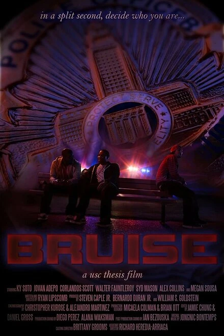 Постер Bruise 2013