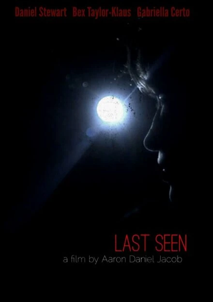 Постер Last Seen 2013
